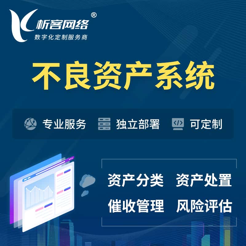 黑龙江不良资产管理系统