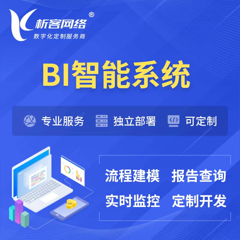 黑龙江BI智能系统 | BI数据可视化